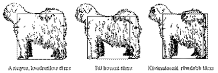 http://www.puli.hu/standard/stand4.gif
