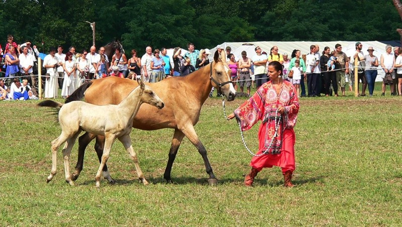 Loading Image