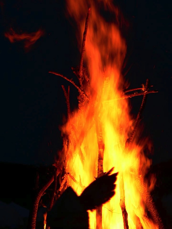 Loading Image