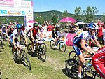 P1100742_kis.jpg