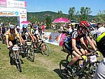 P1100799_kis.jpg