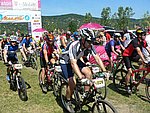 P1100808_kis.jpg