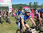 P1100810_kis.jpg