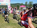 P1100813_kis.jpg