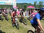 P1100862_kis.jpg