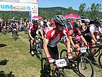 P1100917_kis.jpg