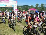 P1100934_kis.jpg