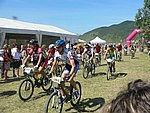 P1100995_kis.jpg