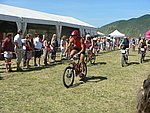 P1110011_kis.jpg