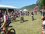 P1110034_kis.jpg
