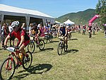 P1110044_kis.jpg