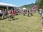 P1110067_kis.jpg
