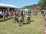 P1110069_kis.jpg