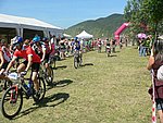 P1110084_kis.jpg