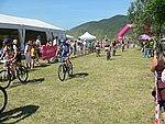 P1110085_kis.jpg