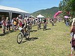 P1110088_kis.jpg