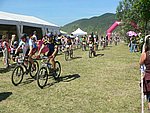 P1110090_kis.jpg
