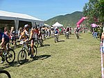 P1110100_kis.jpg