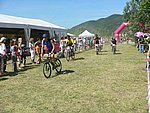 P1110184_kis.jpg