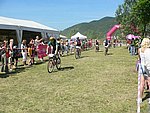 P1110193_kis.jpg
