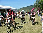 P1110234_kis.jpg