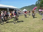 P1110247_kis.jpg