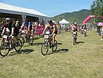 P1110302_kis.jpg