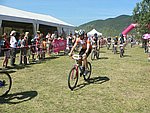 P1110303_kis.jpg