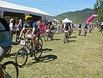 P1110306_kis.jpg