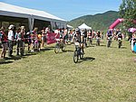 P1110313_kis.jpg