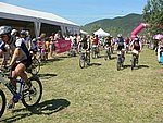 P1110314_kis.jpg