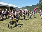 P1110322_kis.jpg