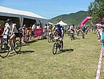 P1110358_kis.jpg
