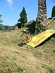 P1110416_kis.jpg