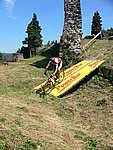 P1110428_kis.jpg