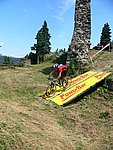 P1110490_kis.jpg