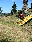 P1110521_kis.jpg