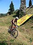 P1110528_kis.jpg