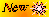 �jdons�gok 