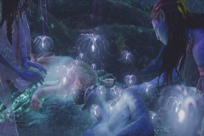 Avatar
