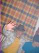 dscf2061_small.jpg