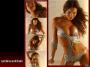 gal/eroticwallpaper/_thb_442.jpg