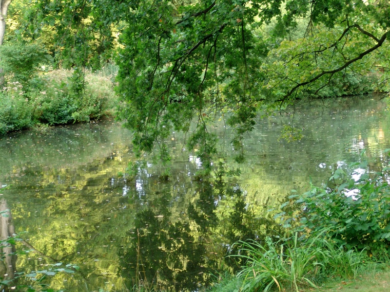DSC08468.jpg