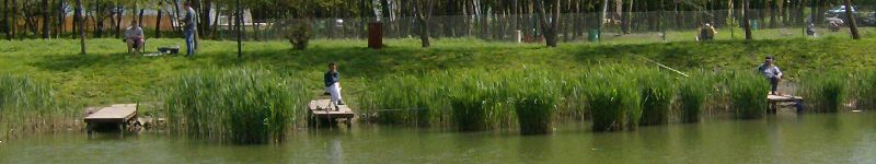 Horg�szt� Mez�hegyesen