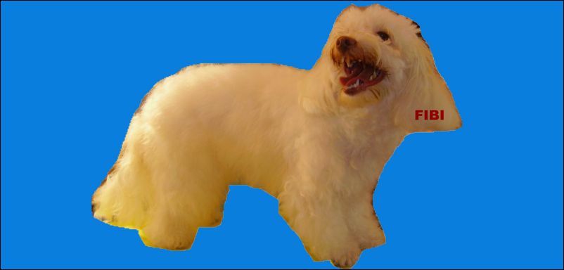 Fibi kozmetika �t�n 