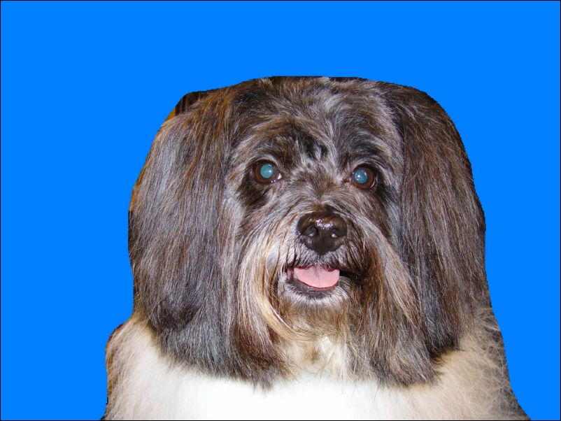 Roni