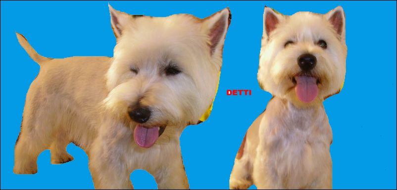 Detti kozmetika �t�n 