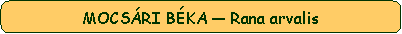 Lekerektett tglalap: MOCSRI BKA  Rana arvalis 