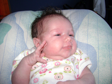 dsc00002.jpg