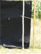 P1020985